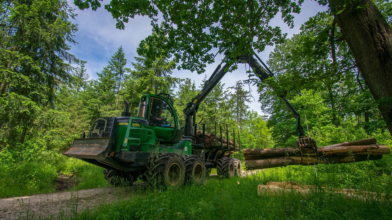 Forwarder w lesie