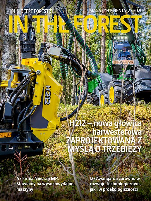 In The Forest 2/2020