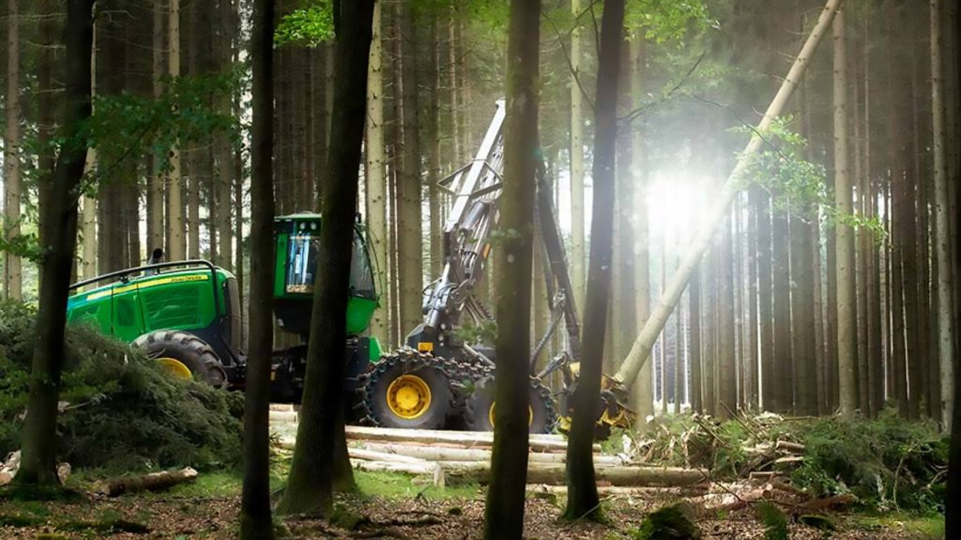 Maszyna pracująca w lesie